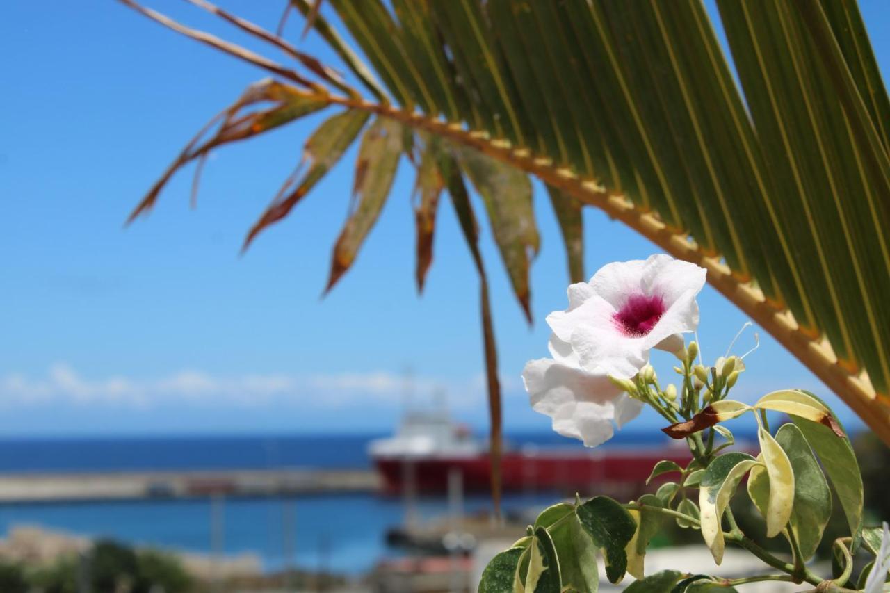 Terraza Del Atlantico, Un Oasis En La Ciudad Leilighet Santa Cruz de Tenerife Eksteriør bilde